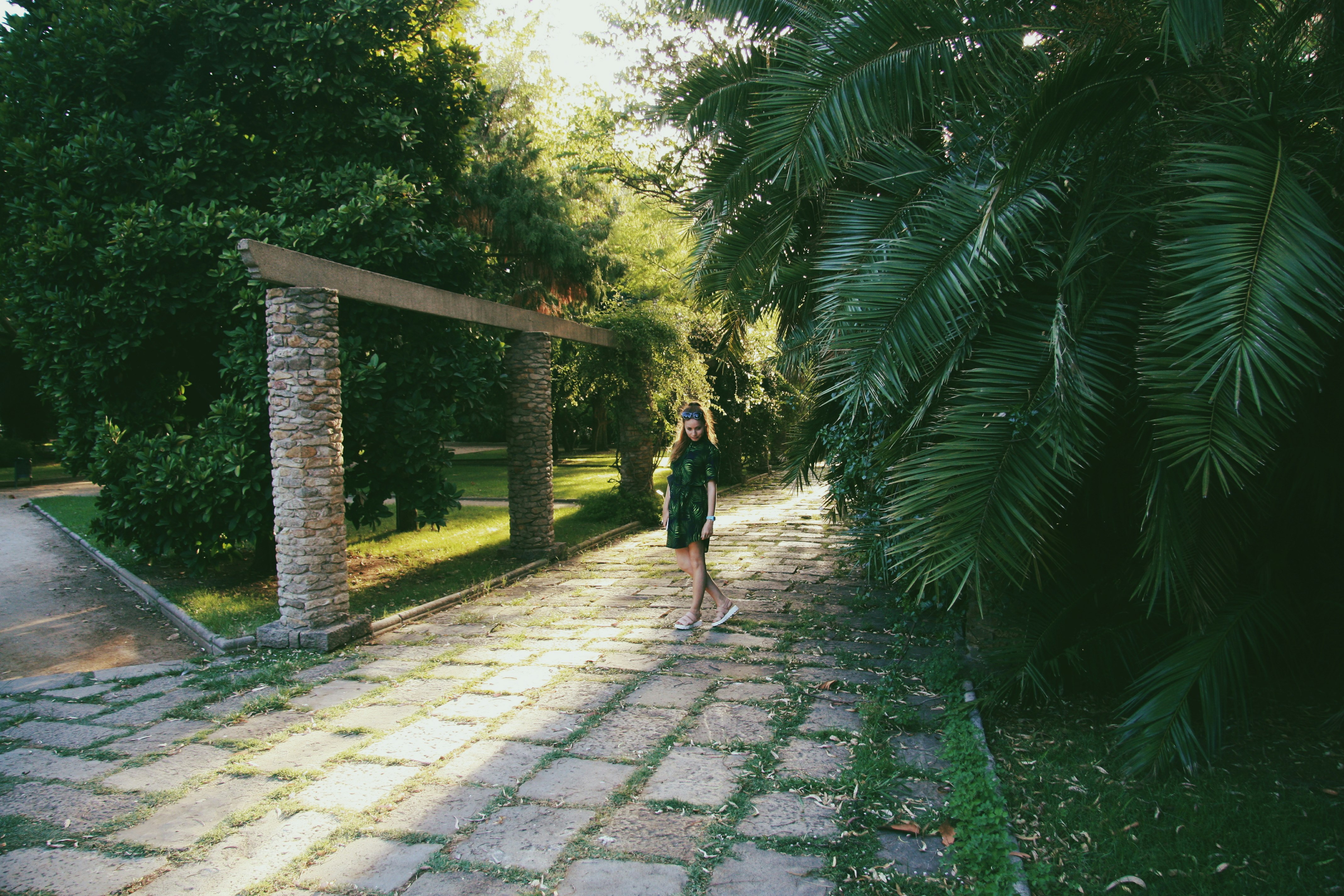 woman standing on pathway surrounded with tall and green trees during daytime